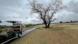 Thumbnail of post image 140