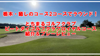 Thumbnail of post image 031