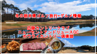 Thumbnail of post image 040