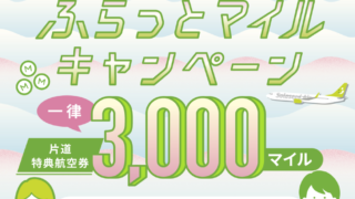 Thumbnail of post image 061