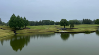 Thumbnail of post image 077